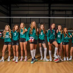 team gsi 11 black mincrop