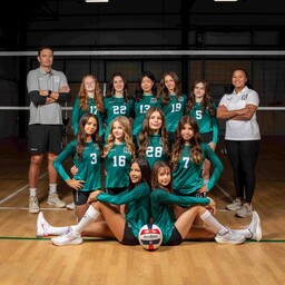 team gsi 13 teal mincrop