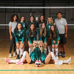 team gsi 16 lime mincrop